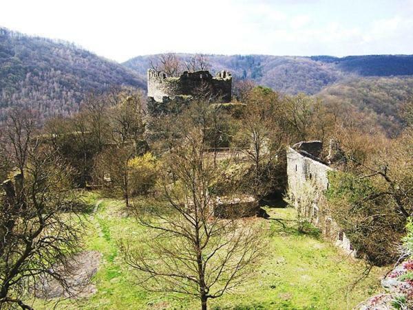 Garden Apartments Znojmo Exterior photo